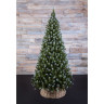 Новогодняя елка TRIUMPH TREE, Женева, 215 см, заснеженная 73998